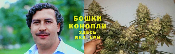 бутират Няндома