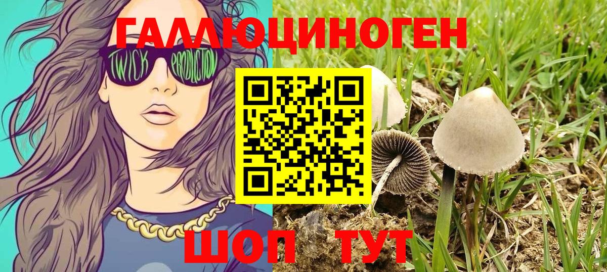 Псилоцибиновые грибы ЛСД  Галлюциногенные грибы GOLDEN TEACHER  Находка  Вход с VPN 